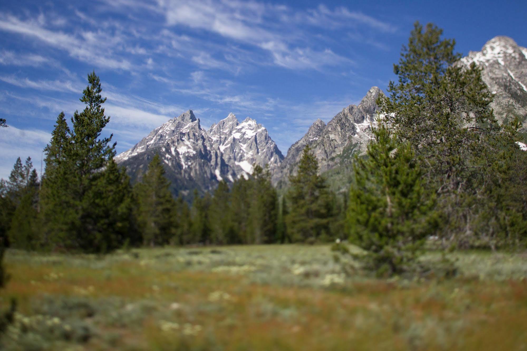 Jenny Lake Lodge Beaver Creek Luaran gambar